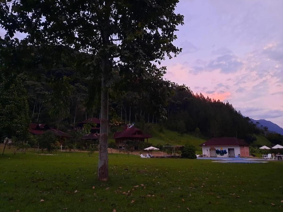 Hotel Mercedes